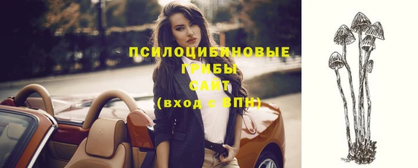 спиды Беломорск