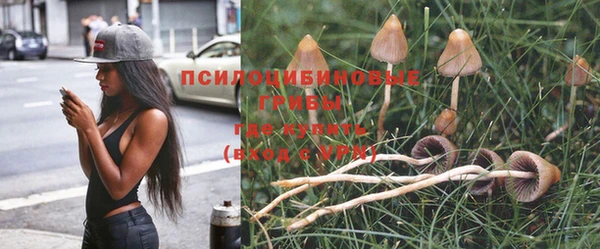 амфетамин Белокуриха